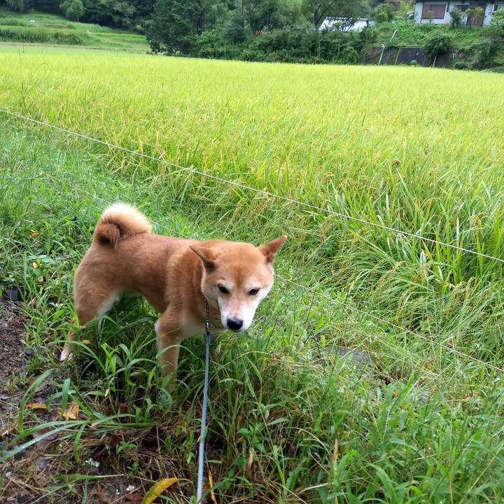 Bfaceba6 b1c6 47ca 8847 d3e02d7959f4 1535113265971