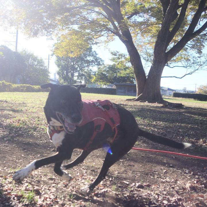 Bfacec02 cdaa 4367 9197 5b292aa89a3a 1699924094292