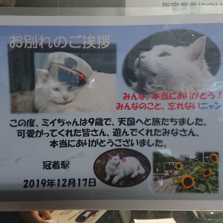 Bfacf5bf e8ce 492e 8e34 4a9fd6480243 1576708420262