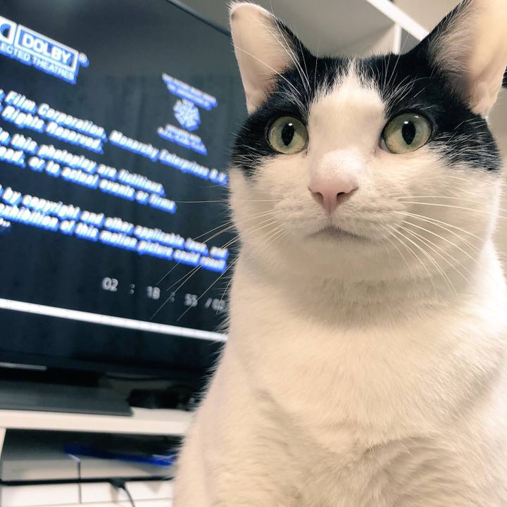 Bfad0139 5a9b 42e8 a170 151329eac427 1519558554306