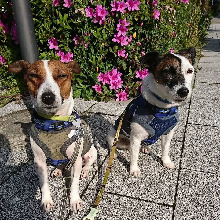 Bfad14f8 ad31 46e1 b838 8f913fb7a6bf 1587422732913