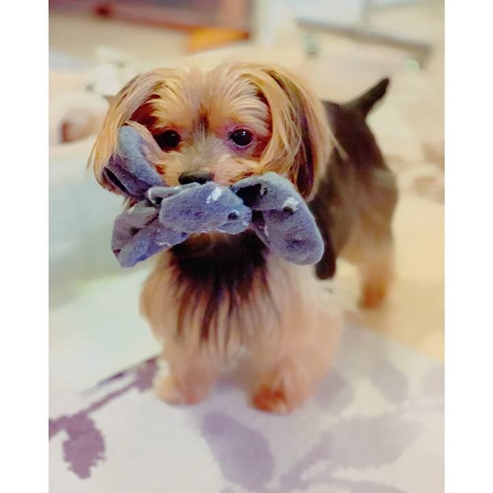 Bfad1fdb c02d 49d1 bdb5 2e7ffdfbe833 1568442112578