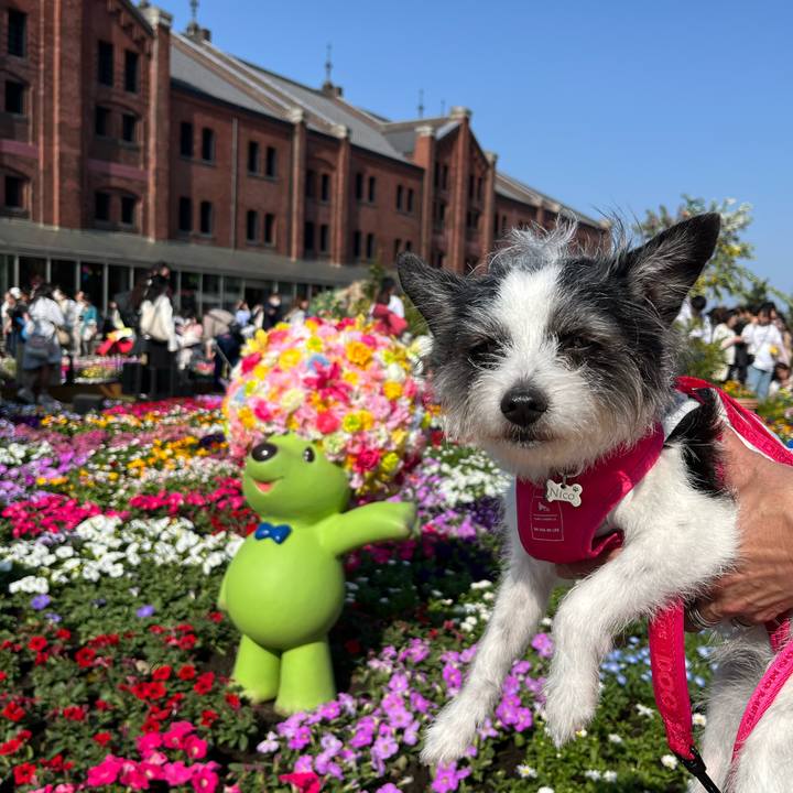 Bfad6084 536f 4188 a72e 12d7ec3d3040 1711865215569