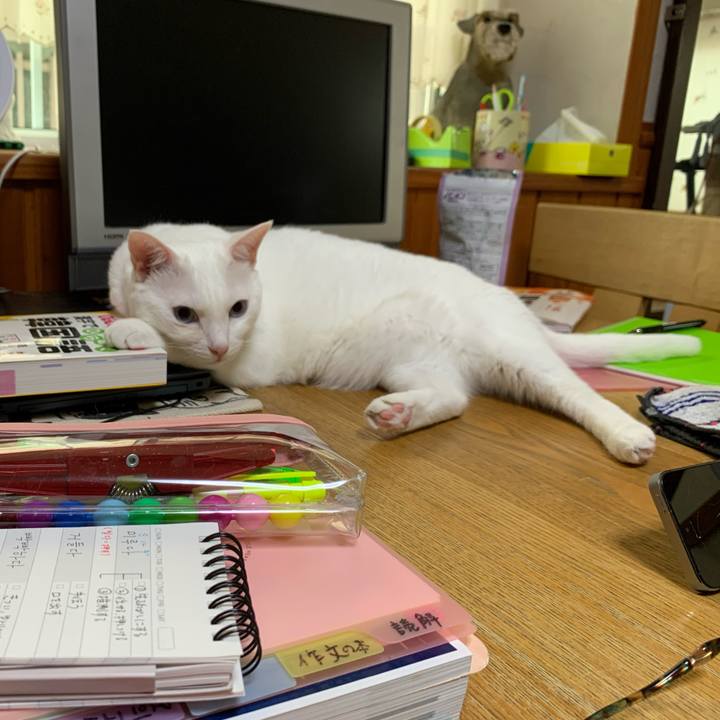 Bfad7d2c 8cab 44d7 87db 97cef7ee3d45 1625264643702