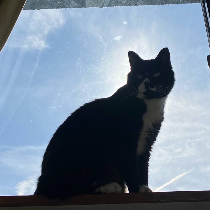 Bfadcac9 974f 45c2 81d7 f01c4ed8f982 1745468731527