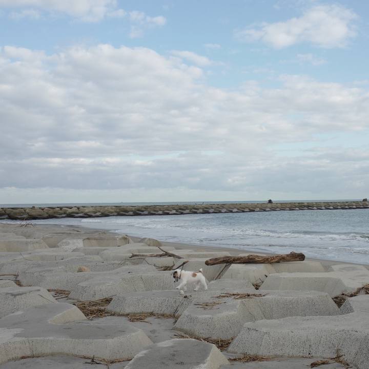 Bfaddddf 63ca 45d7 9f64 c91c137424e4 1571197727097