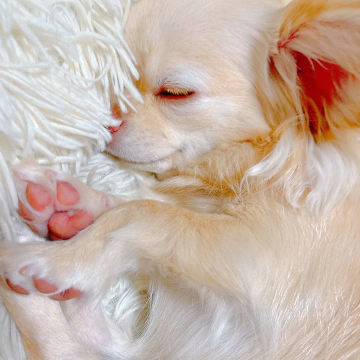 Bfae3ed0 dddd 405a a44d a0680bed5fc2 1649689119455