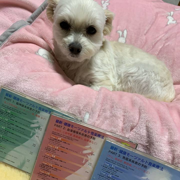 Bfae658b 40da 4fdb 8d04 c77ef3c19551 1579785580317