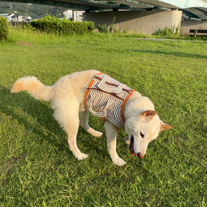 Bfae7db0 0015 4f16 ae82 57fb55f5b341 1660481987421