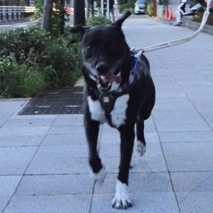 Bfaea2b6 d31e 4f70 ac49 9587f7d8ad96 1658313939306