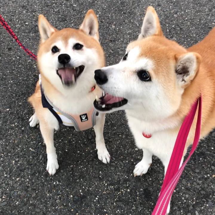 Bfaedfd9 453a 4c0b 9cf6 b208ad5952af 1666486699035