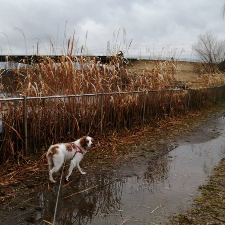 Bfaf10c2 7470 4832 b9fa 93d3fae8cd01 1612222727567