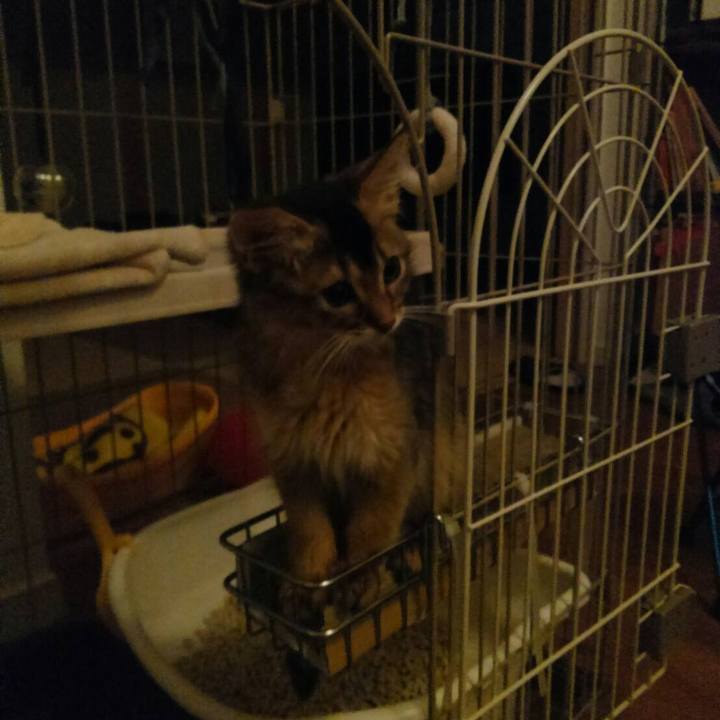 Bfaf140e 2335 4284 ba77 b4a79af4f9d4 1573077239081