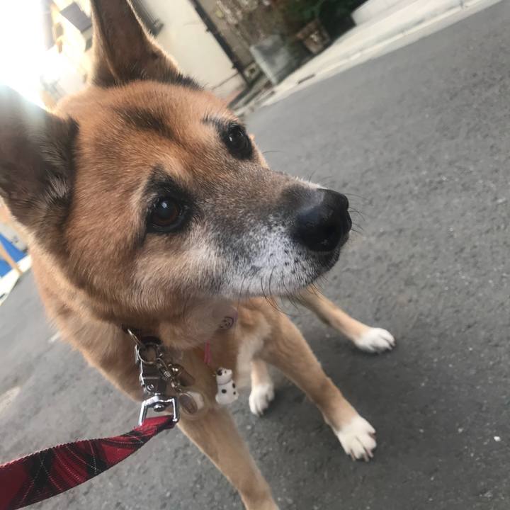 Bfaf9044 6f0e 48ed 8f3d 8c77bae325ef 1516315685054