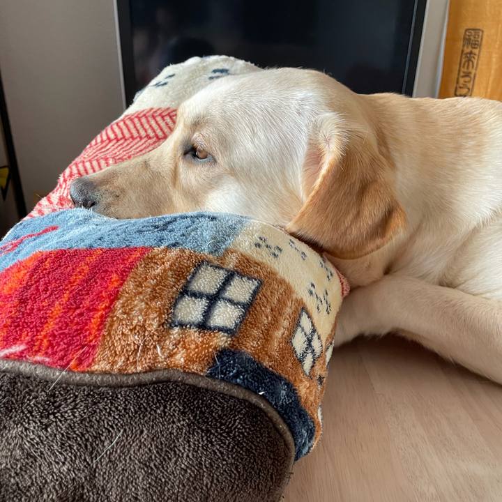 Bfafa4f9 dc0a 4d56 9a7a 90b8c422b9ea 1658150374691