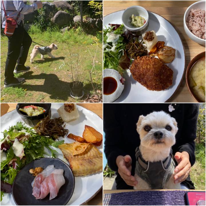 Bfafb317 68a7 4605 8023 69e040bb1a41 1584696513713