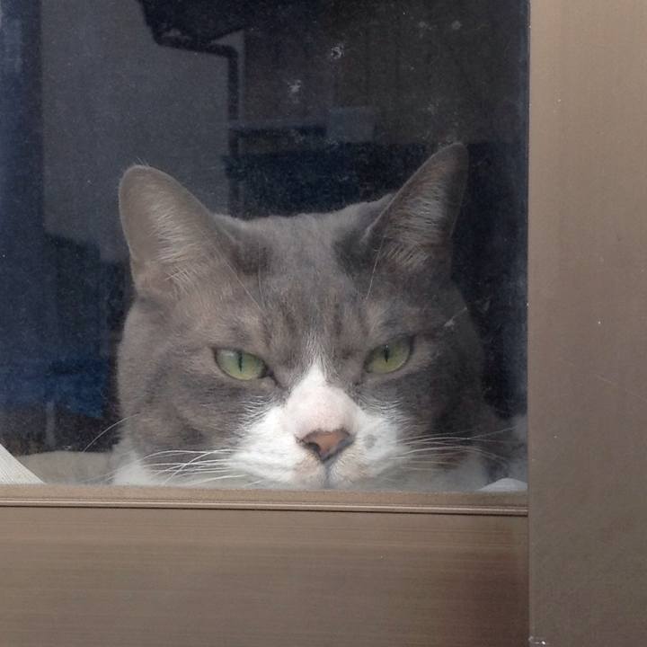 Bfafcc5d 1ca4 422f 9921 9b84b7c70ddc 1510546046716