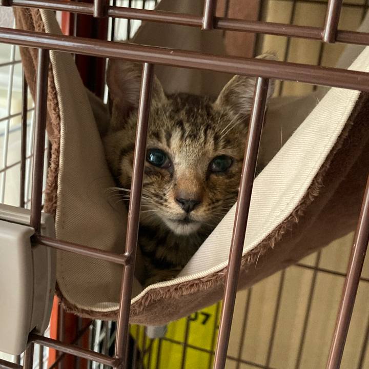 Bfafe183 e3b6 4ec5 a9d2 e9b79a549061 1659846951025