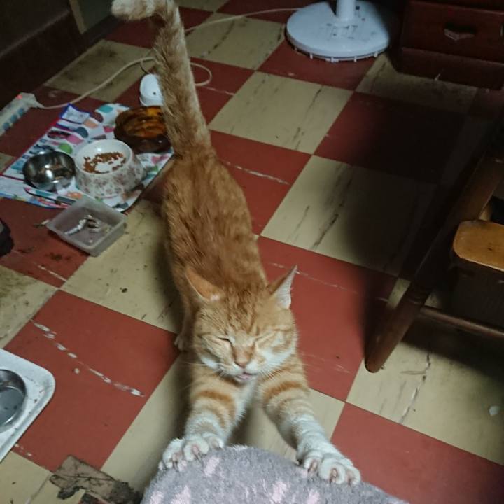 Bfb015db 31f6 4020 a57c 5dd2284f3edb 1594151696598