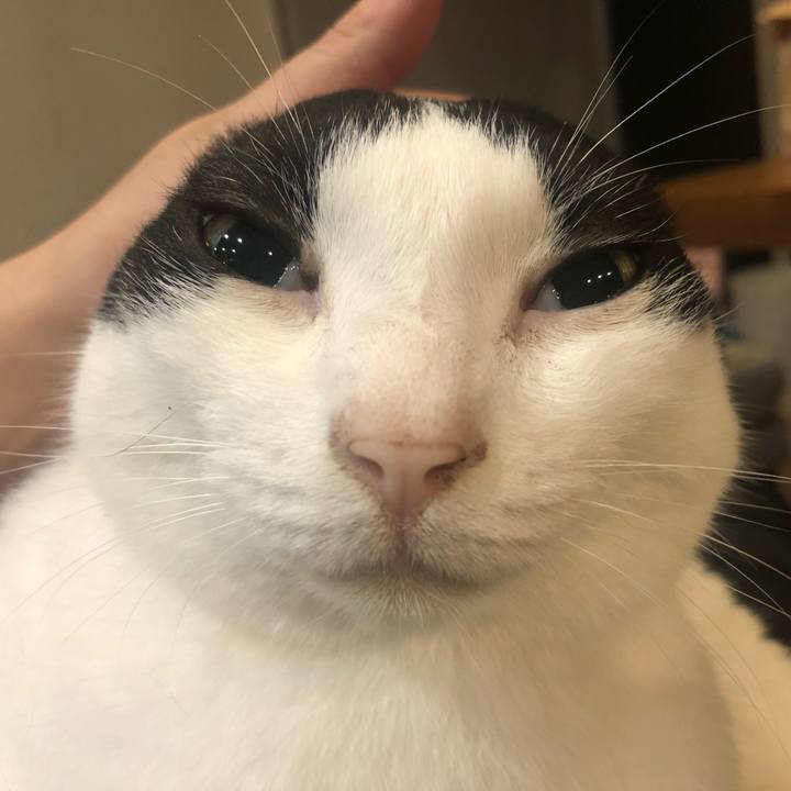 Bfb0324f 2966 49a4 a50e f603300429e8 1660728000371