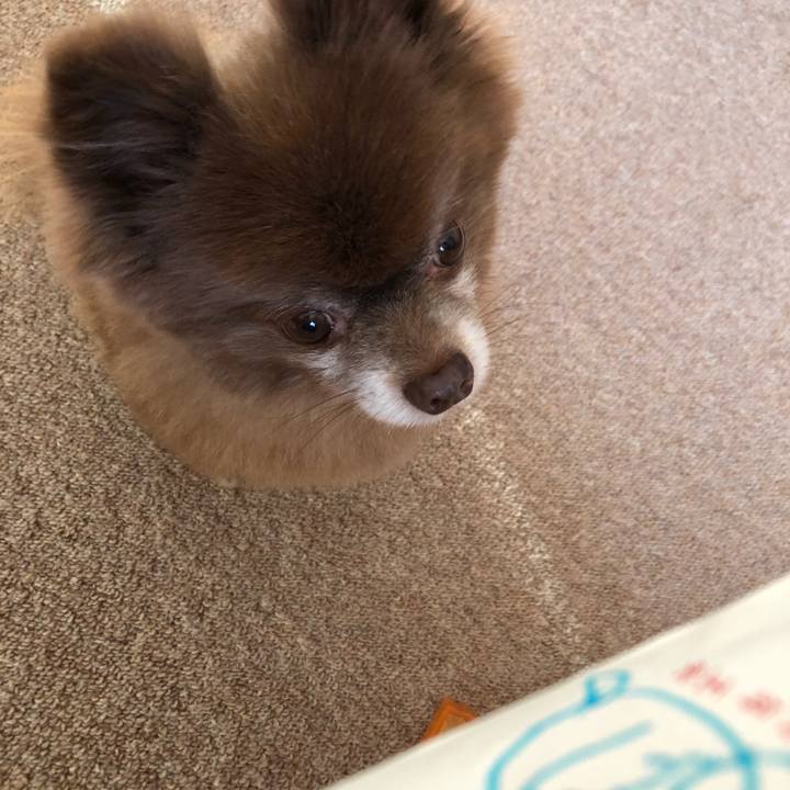 Bfb0941b 57a4 4bbe 8120 d14eeeadc752 1578113200572