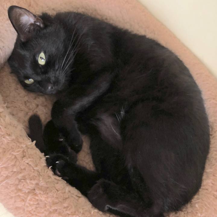 Bfb09485 bf30 45b1 9887 a1e57b2a2226 1563189661689