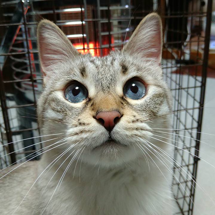 Bfb09554 f06e 47c8 94e7 3af2b4c08f72 1705747075555