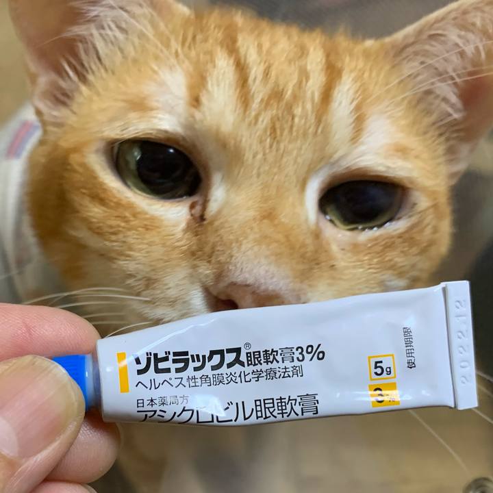 Bfb0b472 5ba4 4b8a a27b d1a05e5be979 1634041159023