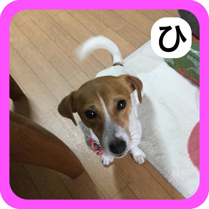 Bfb0bce5 2713 4506 90e2 11ce33058175 1514866775300