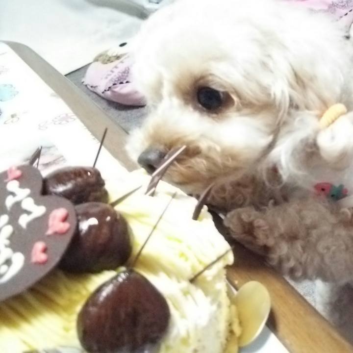 Bfb0c7ef 9d3e 4508 ab0d 1b172b45eaec 1535543840752