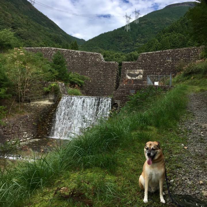 Bfb10f7a 1adc 4ef7 902e 0b78f72dce2b 1537695730839