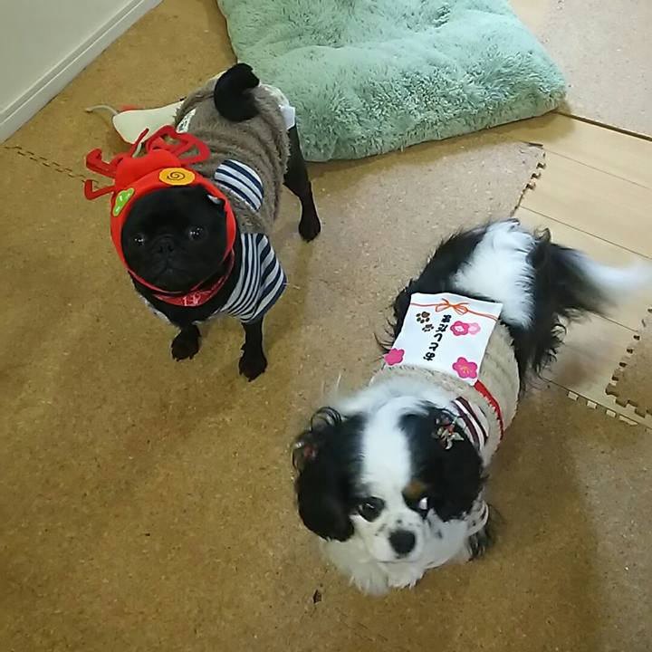 Bfb15863 09ea 4fdc 9c99 b017256a4903 1546395282177