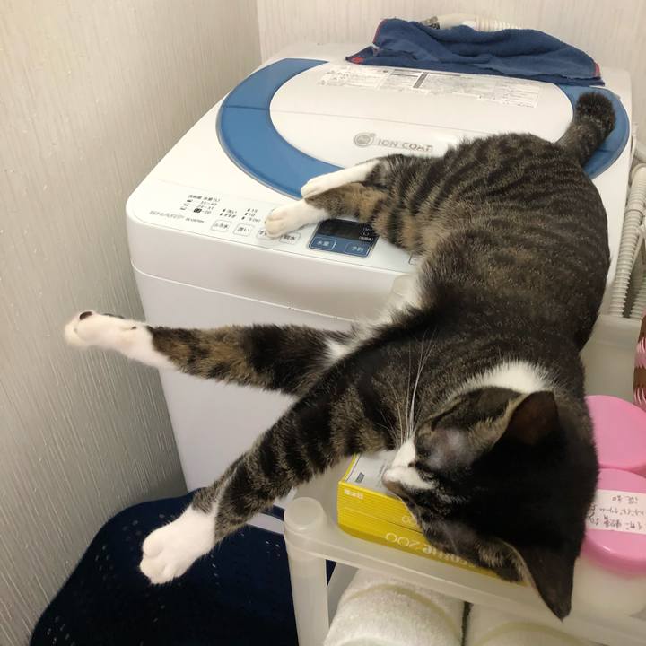 Bfb1634e 58df 4ff7 966f a1155b0f71a3 1536782619885