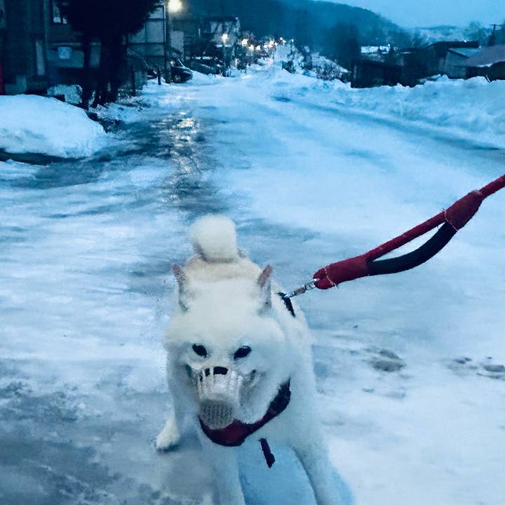 Bfb165b9 7707 4287 a4e4 23b98619e3e4 1767046710581