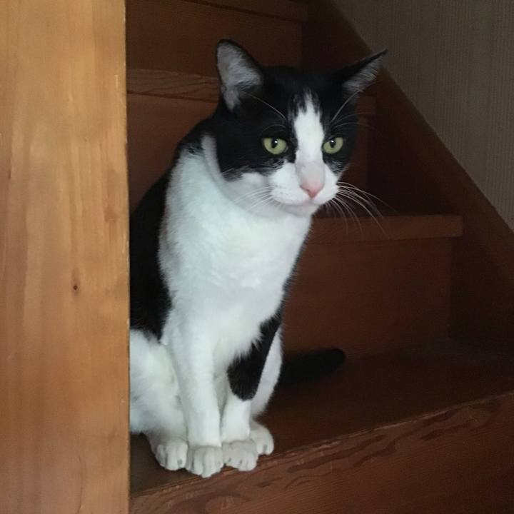 Bfb1f4cc d126 46ec bd3a d5d8f2d3e11c 1758603898368