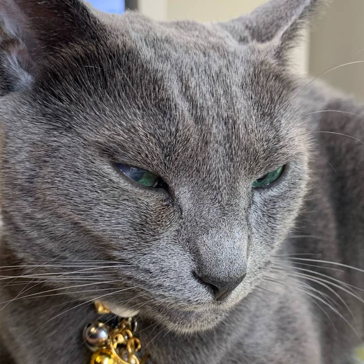 Bfb20f51 1e29 4af0 92d4 5fcff7fed993 1625294177264