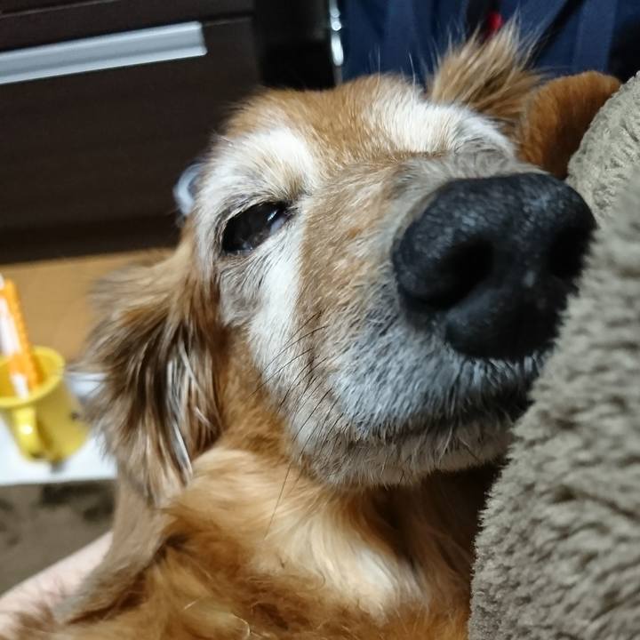 Bfb21548 edec 4326 985f 13b30e2245df 1516124304495