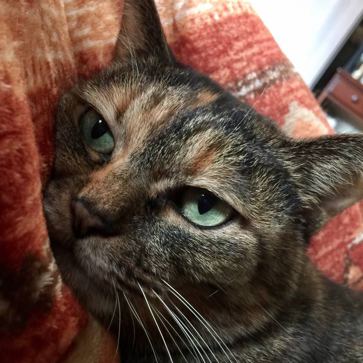 Bfb22d56 fd23 4d00 a091 de8d303a860d 1519702068974