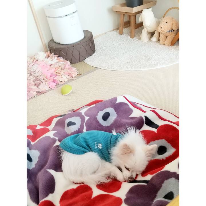 Bfb28e8f 85d8 41f6 88d5 b793f0303434 1644555475073