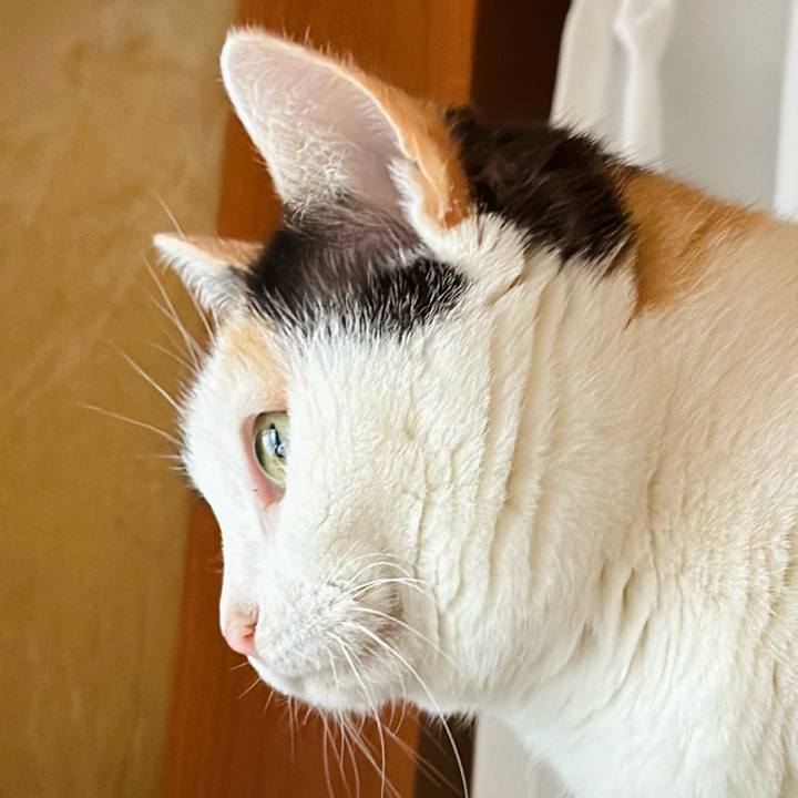 Bfb29e7a 5fc8 4652 9e33 dfc0829dd4d0 1710552725200