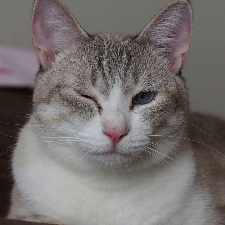 Bfb2afff b055 413b 89cd b04fddb34dba 1535241166520