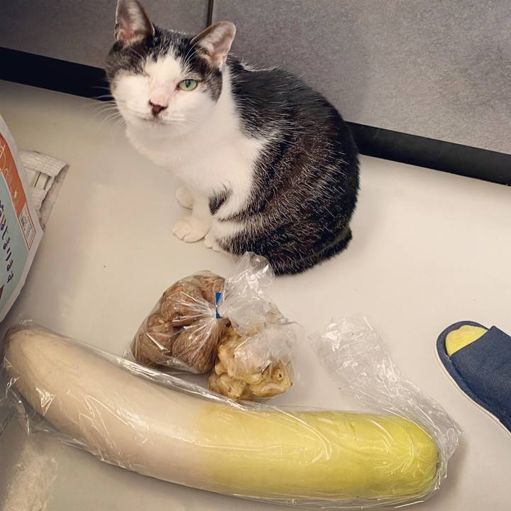 Bfb2f2ed 1215 4739 af55 a5046a775ba6 1609304266694