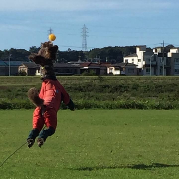 Bfb30a4f 0f87 46ad b6a8 241483bc5a64 1538411417896