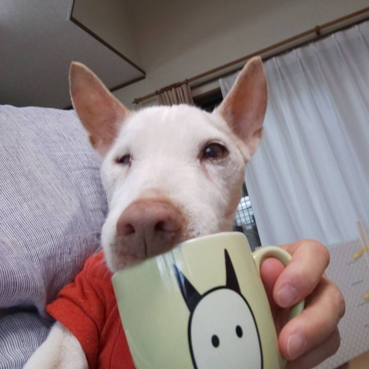 Bfb3e258 2ef5 40df 98c1 ca6e5a721181 1560896915475