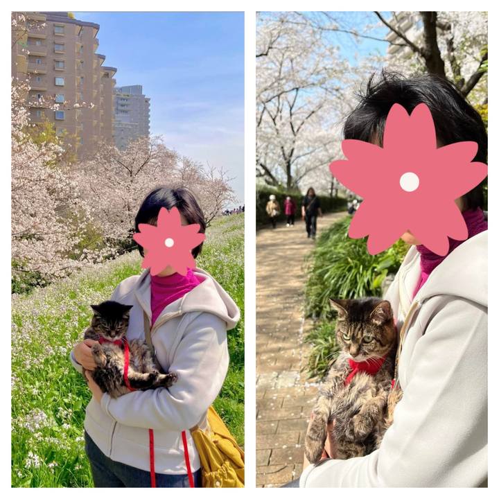 Bfb3ee8b 1a09 4ae0 831d e1e80776ca2b 1775400101044