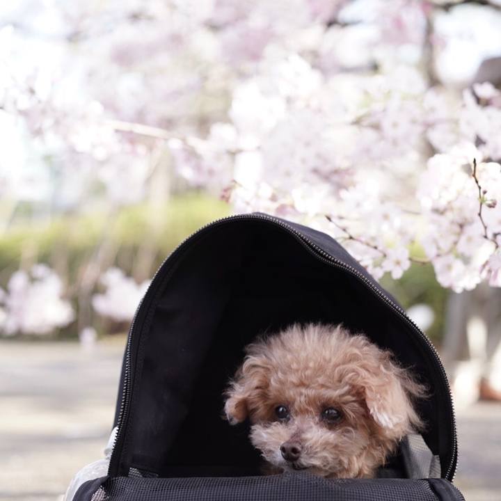 Bfb4371c eeb5 4e4f 85a2 8e8852474f18 1697115168193