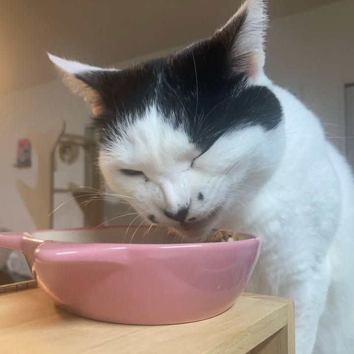 Bfb44b06 3780 4329 bbba 3bf5537f6cd6 1769548224057