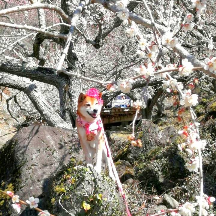 Bfb45777 d1e9 4152 89dc 82b82d60e633 1677907256872