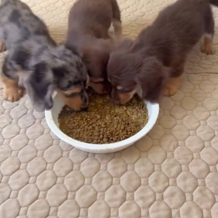 Bfb45eaf f9fe 433a 9ce0 78bee9c91ede 1697629550297