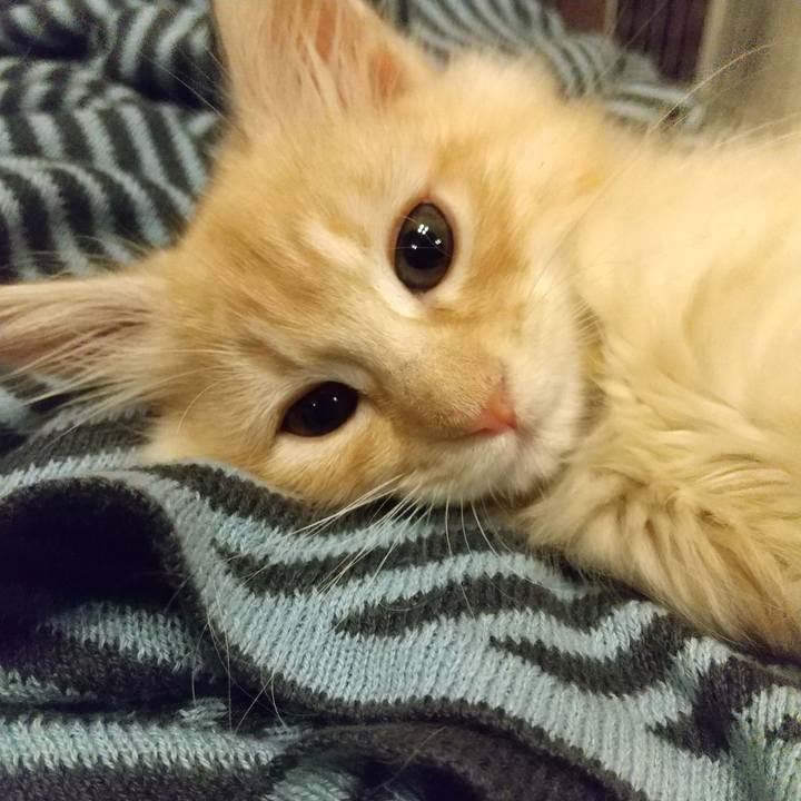 Bfb47fb9 7cdd 401b b6ca 31f539397591 1603798105091